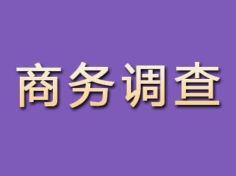 安化商务调查